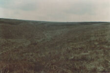 Photo 6x4 Moorland winter Bourne/ST4859 The basin of East Twin Brook hea c1969 picture