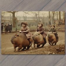 POSTCARD Capybara Kids Riding Old School Vibe Weird Strange Funny Race Giant picture
