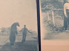 1907 Norwalk CT CONNECTICUT MAN & BEAR MEASLES GRACE CYANOTYPE PHOTO QUOGUE L.I. picture