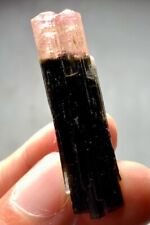 55 Cts Top Quality TRI COLOUR  Tourmaline Crystal  From Afghanistan picture