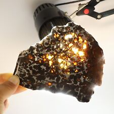131g Natural meteorite,Slice olive meteorite-from Kenya SERICHO,collection N3957 picture