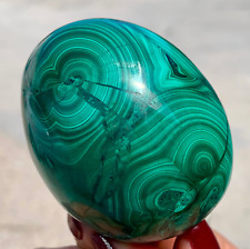 274G Natural glossy Malachite egg transparent Crystal mineral sample healing picture