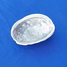 Large Natural Abalone Seashell Smudge Sage  8 3/8
