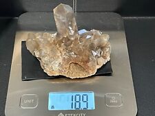 1.18lb Large Natural Black Smoky Quartz Crystal Cluster Raw Mineral Specimen picture