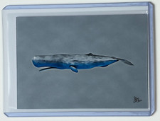Sperm Whale Limited Artist Signed "Physeter Macrocephalius" Trading Card 1/10 picture