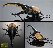 The Diversity of Life on Earth Advanced Hercules Beetle Figure Bandai Gashapon picture