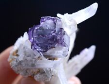51g Natural Purple Fluorite Crystal Cluster Mineral Specimen/YaoGangXian China picture