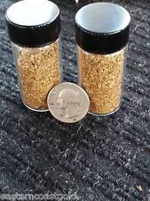 Buy our best rich GOLD paydirt concentrates by the 1/4 Pound Nuggets Pay Dirt picture