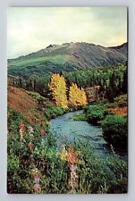 Kenai AK-Alaska, View Of The Fall Season, Antique, Vintage Souvenir Postcard picture