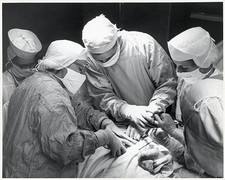 New Orleans Louisiana Photo shows surgeons performing surgery at C- Old Photo picture