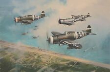 Hell Hawks over Utah by Robert Taylor aviation art signed by D-Day Pilots picture