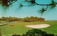 Golfer Putt 15th Green Sea Pine Plantation Hilton Head Island SC Postcard A38 picture