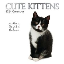 2024 Square Wall Calendar, Cute Kittens, 16-Month Animals Theme 12x12