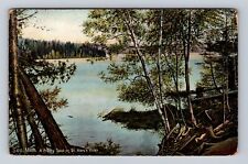 Soo MI-Michigan, Scenic Spot on St Mary's River, Antique Vintage Postcard picture