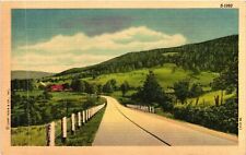 VTG Postcard- 1093. TREE LINED ROAD. UnPost 1930 picture