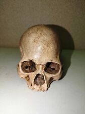 Human Skull Upper Section 3D Printed Novelty picture