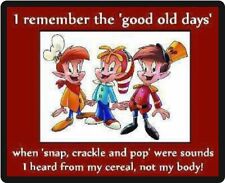 Funny Humor I Remembered The Good Old Days Refrigerator Magnet   picture