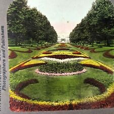 c1901 Philadelphia PA Garden Stereoview Photo Horticultural Hall Hand Colored V1 picture