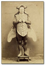 Creepy Mental Patient dressed up as a fly 1900's 8x10 Photo Reprint picture