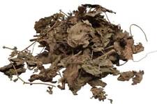 Dried Patchouli Leaves 1 oz (Pogostemon Cablin) for Herbal Health Oils Fragrance picture