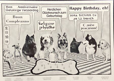 Birthday Card- Happy Birthday In 8 Languages - Dogs -  Funny Vintage Postcard picture