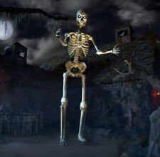 Home Depot 12 Ft Giant-sized Skeleton with LifeEyes(TM) LCD Eyes SHIPS MAY picture