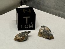 Aubrite Meteorite  .72g  NWA 15304  STUNNING AUBRITE **From Planet Mercury? picture