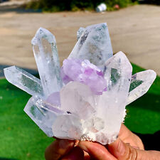1.35LB New find white + Purple Phantom Quartz Crystal Cluster Minerals picture