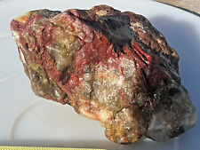 petrified wood 1.4lb rough agatized opalized special chalcedony agate collection picture