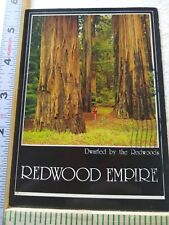 Postcard Dwarfed by the Redwoods Redwood Empire California USA picture
