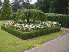 Photo 6x4 Formal Garden Ewell One of the many attractive borders, althoug c2021 picture