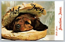 Hello from Junction Texas Hot Dog Horst Milky Way Drive Inn Restaurant Postcard picture