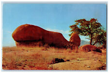 c1960's Huge Whale Moulded in Rock at Texas Canyon Cochise County, AZ Postcard picture
