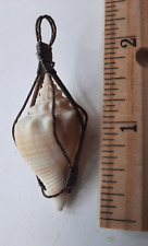 Small Conch Shell Wire Wrap 1 3/4 inches picture