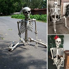 5.4FT Life Size Halloween Skeleton Full Body Movable Joints Indoor Outdoor Decor picture