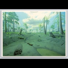 Vintage Postcard Amphibians Evolution 1987 Unposted Scenic Collectible View picture