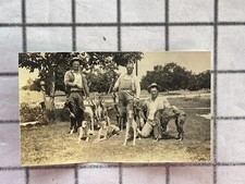 1930 Greyhound Dogs Rabbit Hunting 3 Men With Hounds Original Vintage Photograph picture