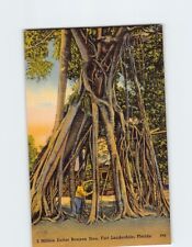 Postcard 2 Million Dollar Banyan Tree, Fort Lauderdale, Florida picture