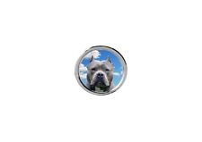 American Pit Bull Terrier Dog code40 DOME  Magnet Personalise with any name picture