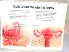1976 CERVIX DOCTOR OFFICE FLIP CHART/BOOK PARKE-DAVIS/ORAL CONTRACEPTIVE HISTORY picture