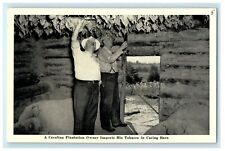 c1940’s Carolina Tobacco Harvesting Inspection Barn North Carolina NC Postcard picture