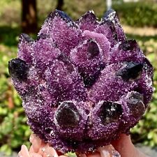 1.12LB   Newly Discovered Purple  Phantom Quartz Crystal Cluster Minerals picture