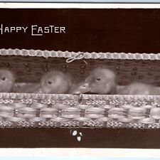 1907 Rotograph Happy Easter RPPC Cute Baby Ducks Ducklings Chick Real Photo A147 picture