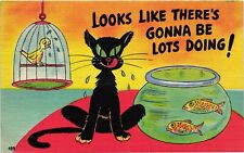 1940s Comic Cat Humor LOOKS LIKE THERE'S GONNA BE LOTS DOING Bird Fish Postcard picture