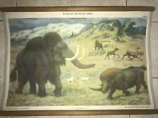 Original Russian school chart of prehistoric mammoth - 1953 picture