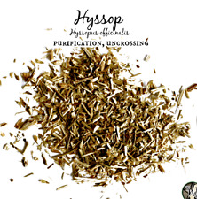 Hyssop The Holy Herb - Protection Purification 1 oz / Hisopo La Hierba Sagrada picture