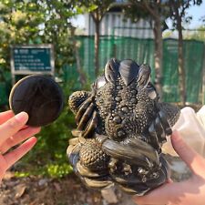 9LB6''Natural Golden Obsidian Money Toad Crystal Quartz Carving Healing Reiki picture