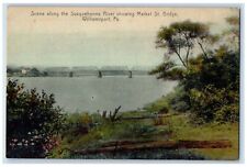 Scene Along Susquehanna River Showing Market St. Bridge Williamsport PA Postcard picture