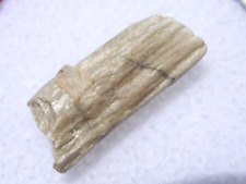 .638 grams Sebkha el Melah 001 Meteorite Enstatite achondrite (Aubrite) with COA picture