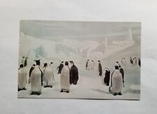 Vintage Postcard Emperor Penguins Chicago Natural History Museum picture